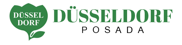 Dusseldorf VGB